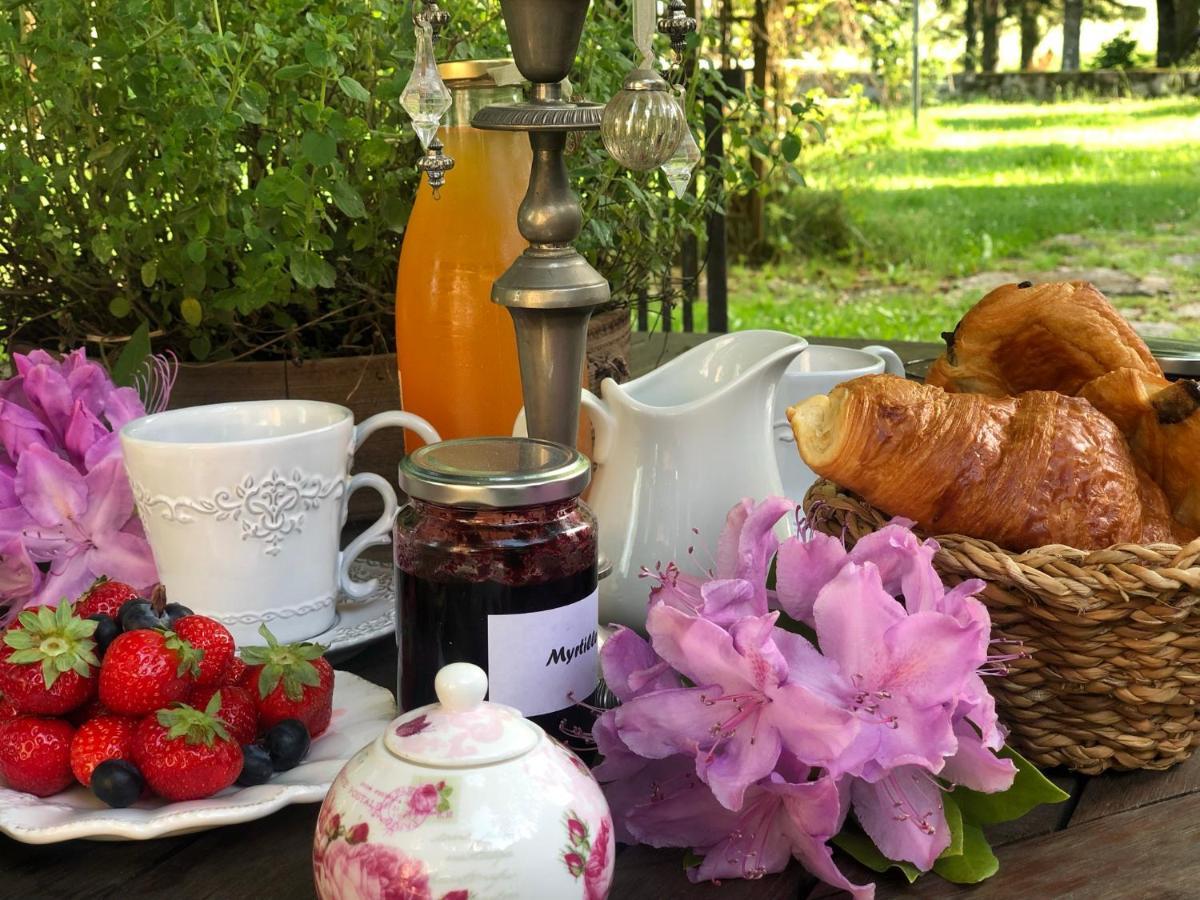 Manoir De Chantemerle Sainte-Fortunade Екстериор снимка